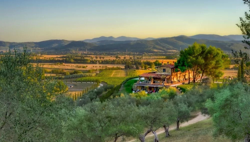 Best Venues for Luxury Corporate Retreat