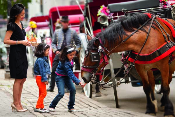 New York Central Park horse carriage ride